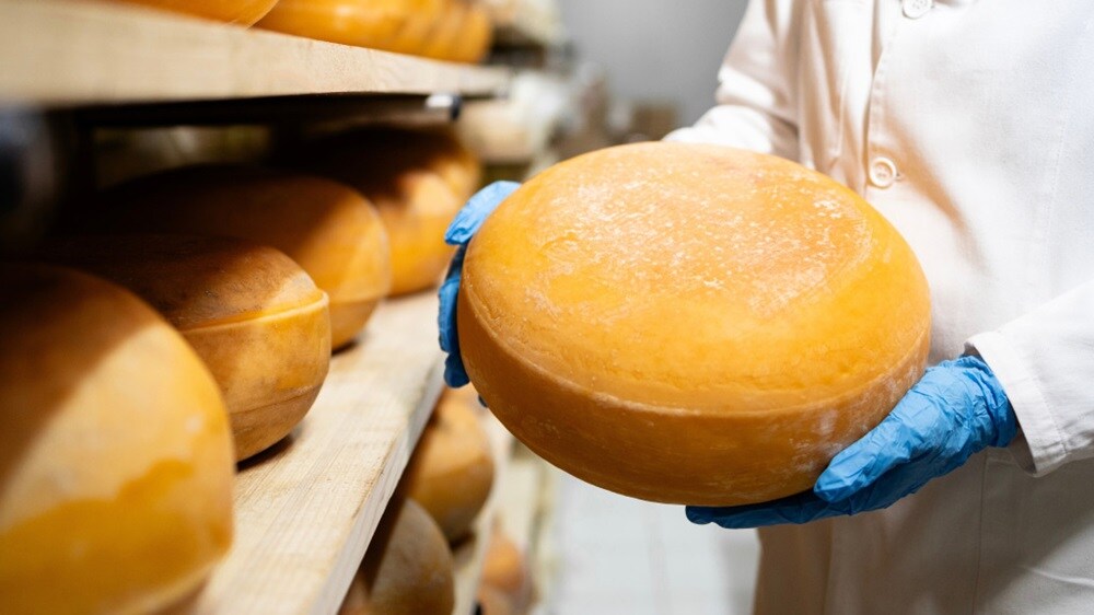 A man in a white lab coat holds a large cheese, smiling as he presents it in a laboratory setting.