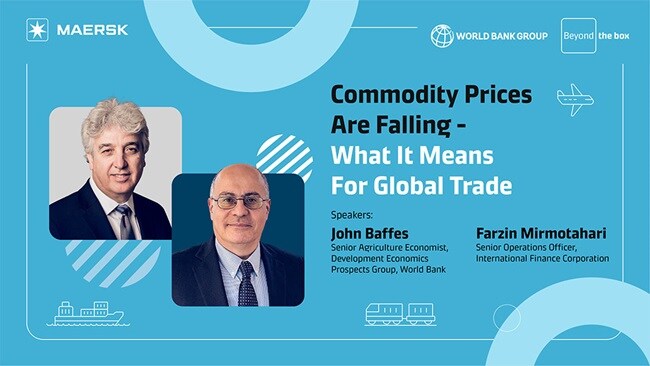 John Baffes and Farzin Mirmotahari