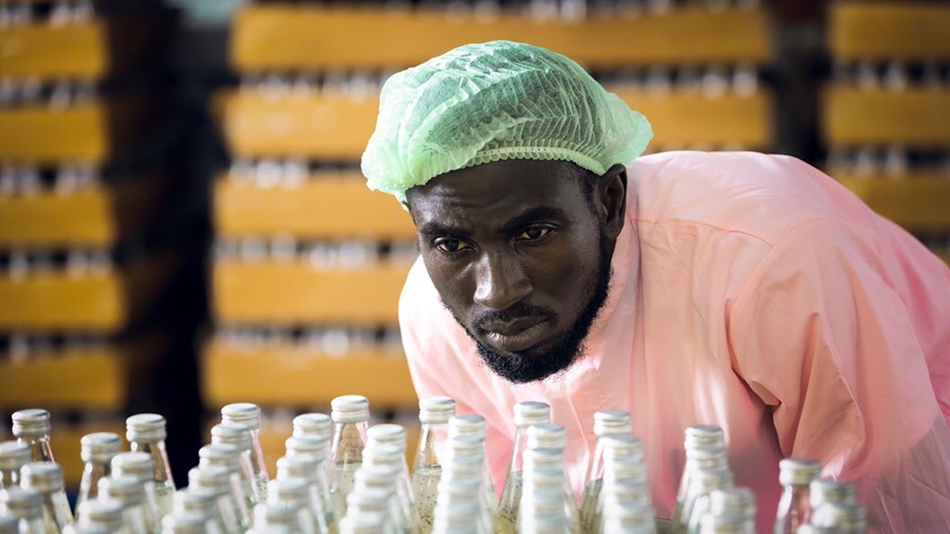 Man inspecting bottles 