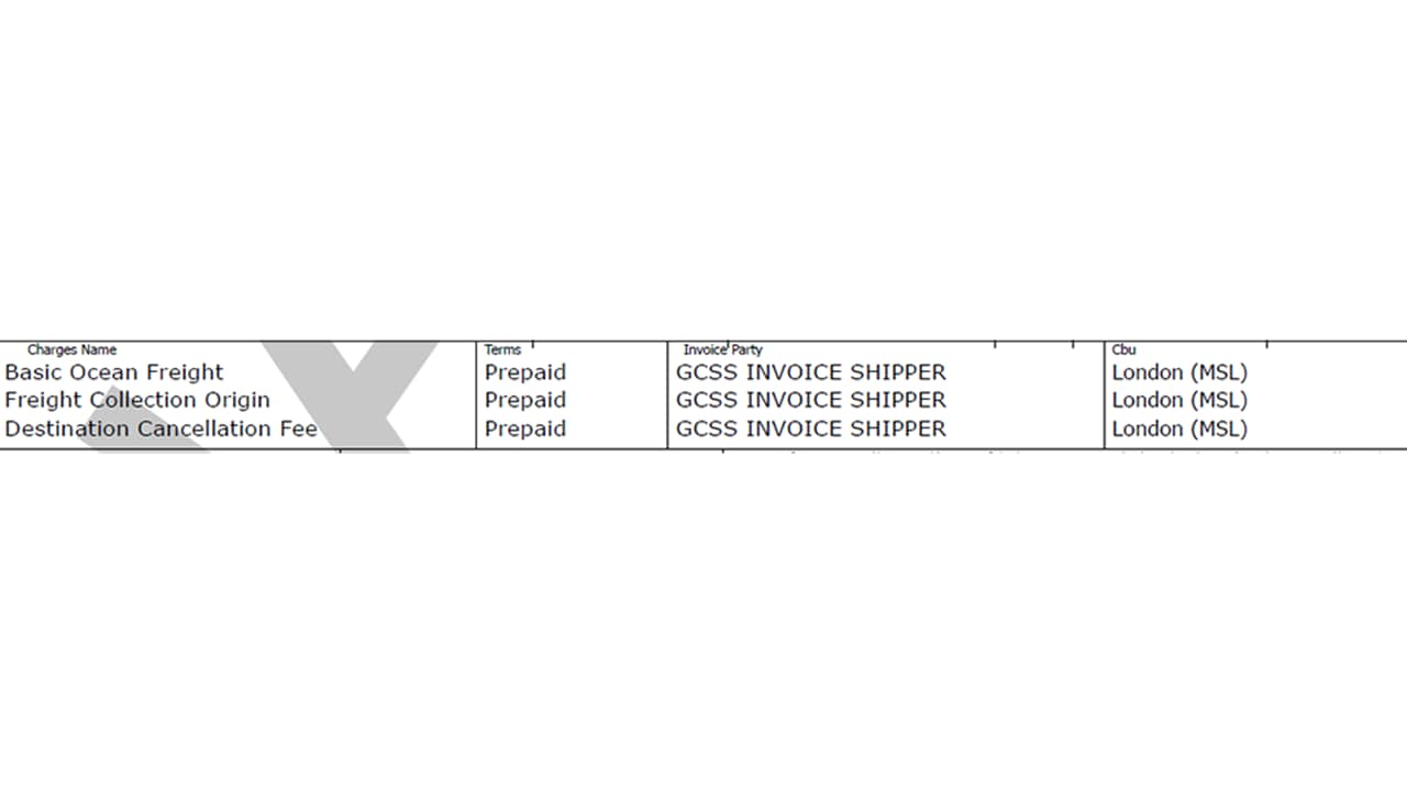 Payer information on the verify copy