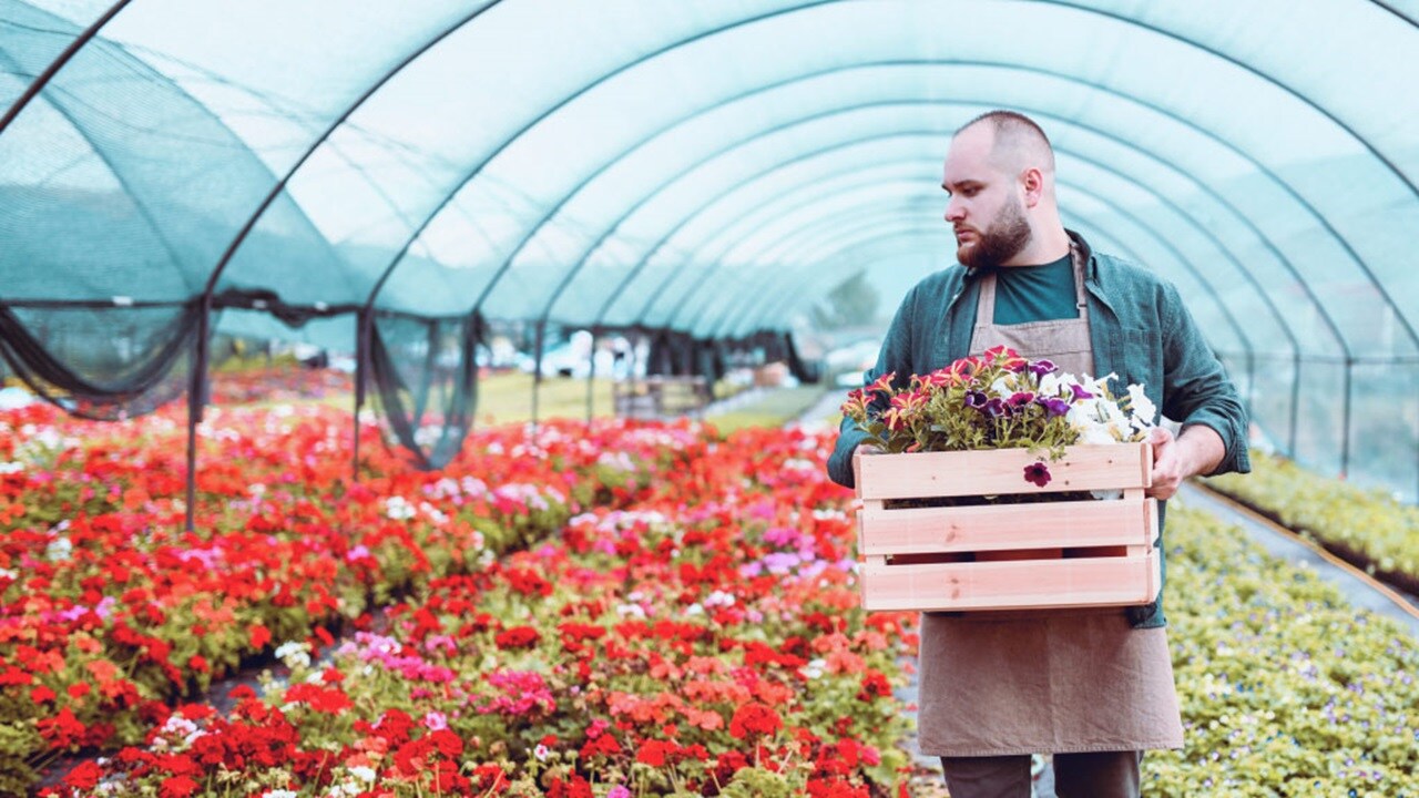Male holding a box of flowers