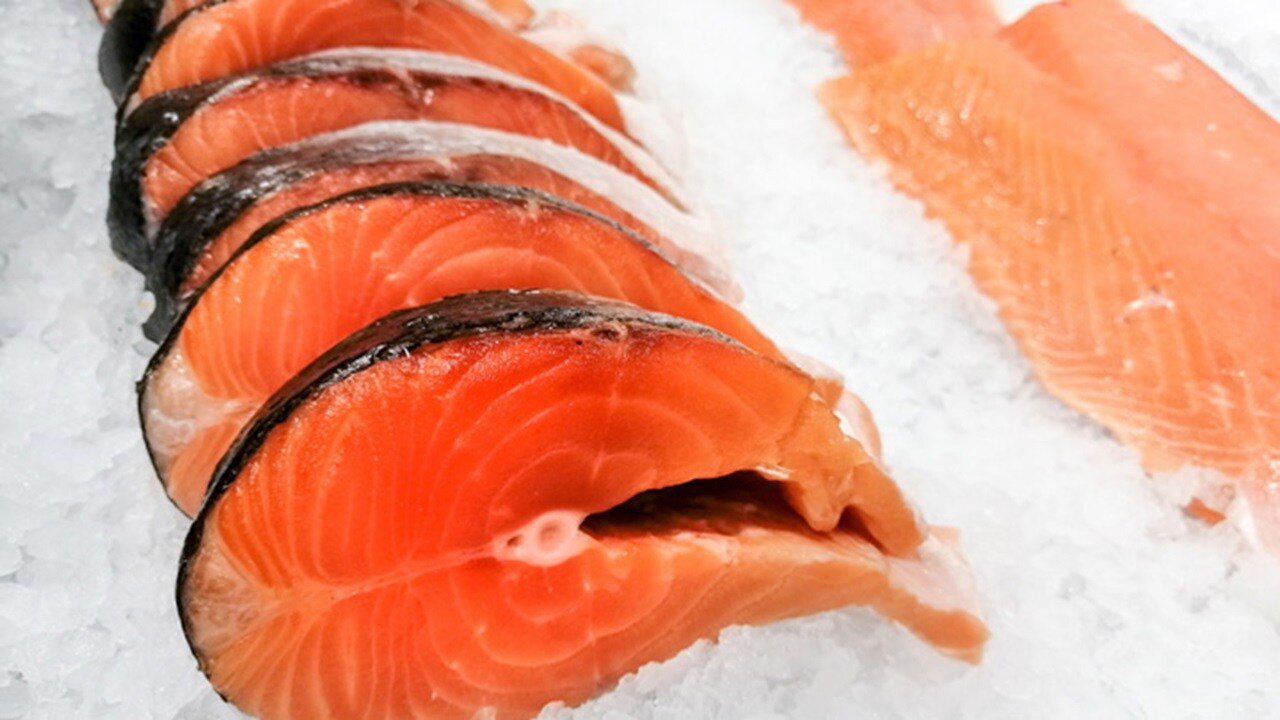 Fish cut pieces in a cold storage facility.