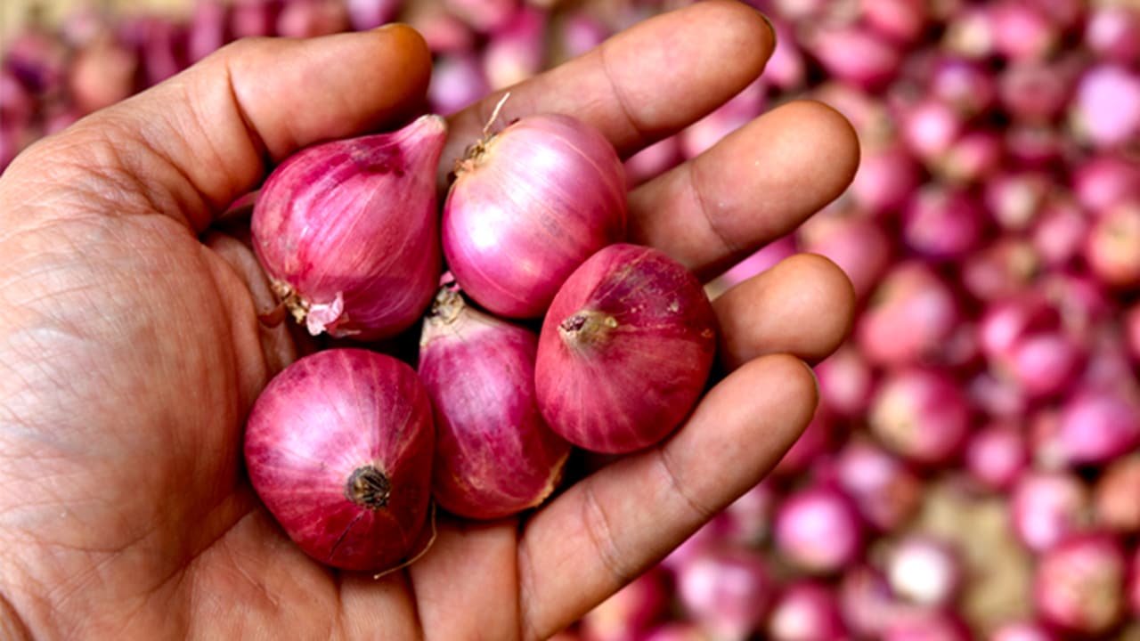 Constant Cold care in Chennai