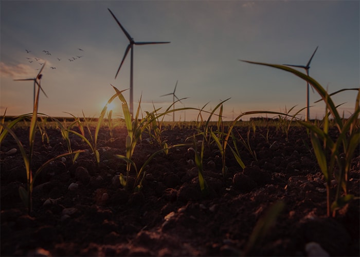 Close up of a field with wind power plants.