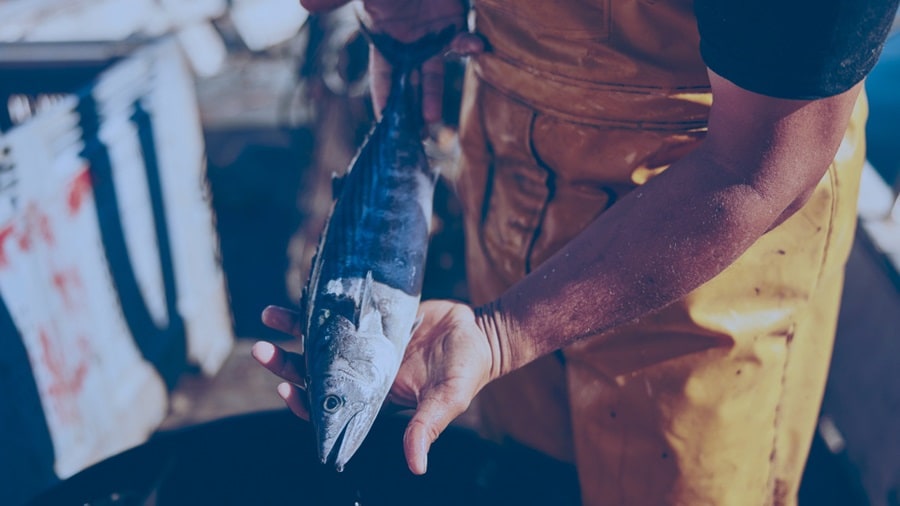 Man holding a fish