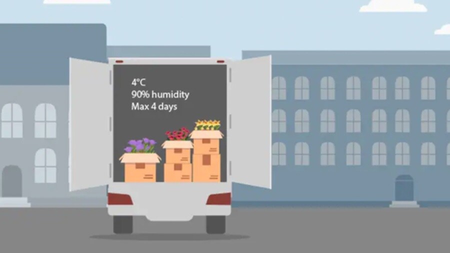 Illustration of the cold truck