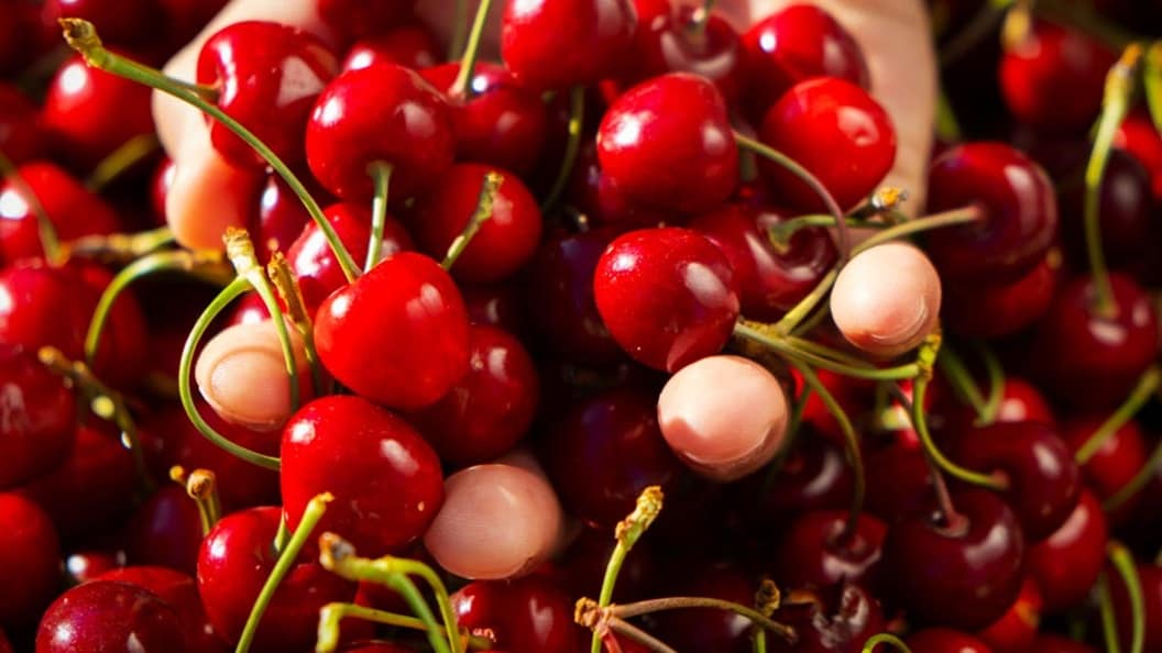 close up shot of cherries