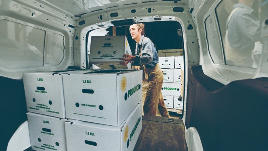 Male loading shipments in a truck