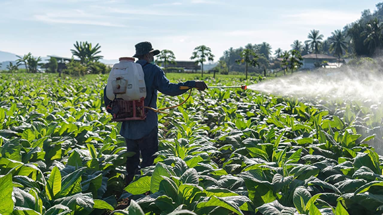 man spraying pesticide