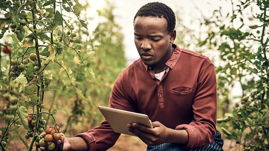 Tracking his crops with technology