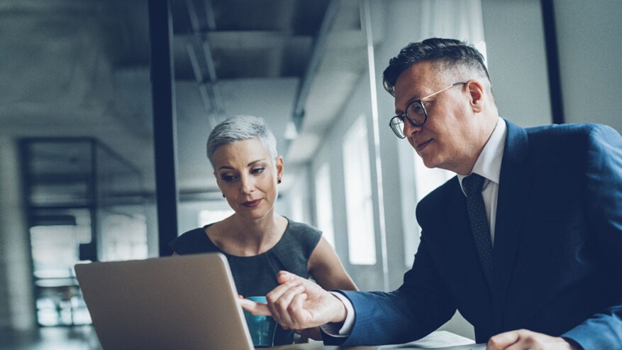 people working in laptop