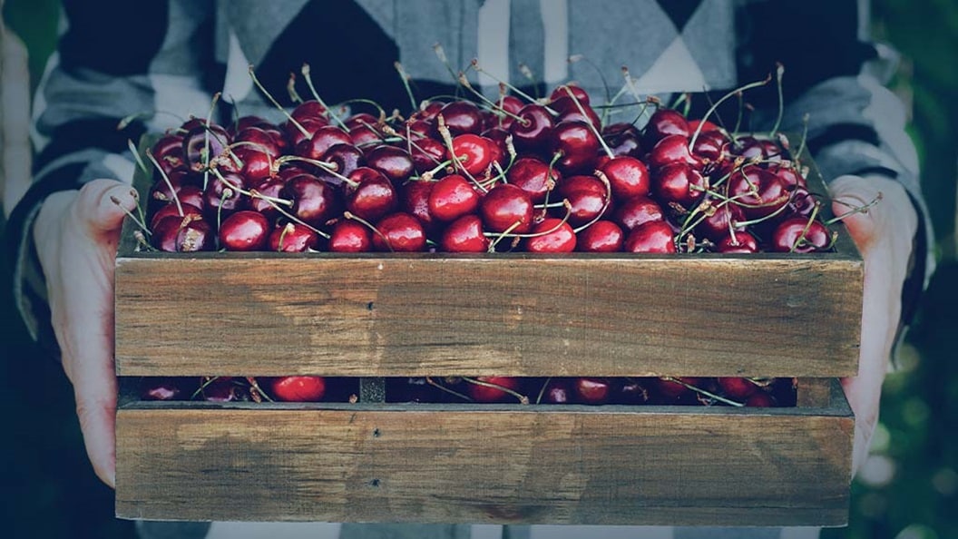 Man holding box of cherries
