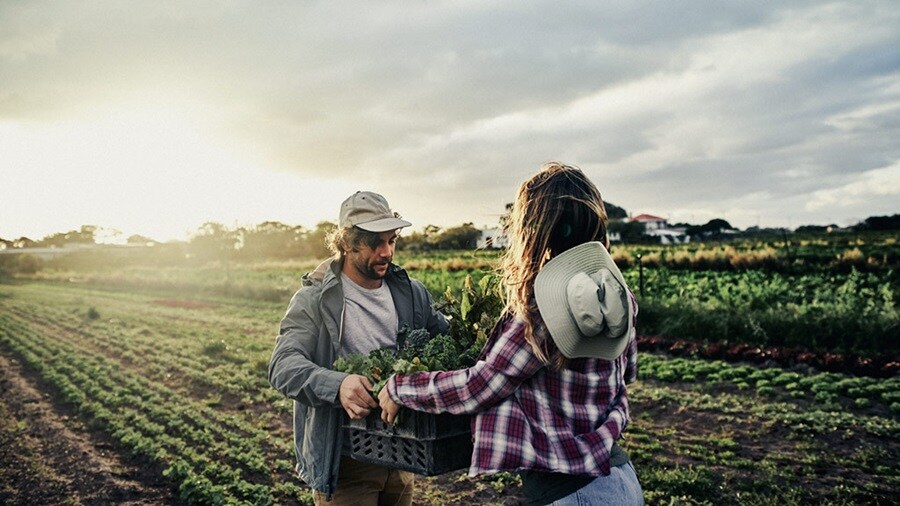 Two individuals in a field, one holding a crate of leafy greens