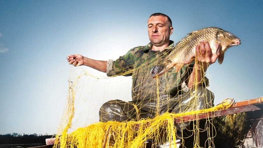 man catching fish
