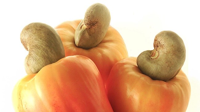 A cluster of raw cashew nuts.