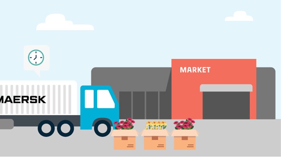 In the wake of Brexit, why is customs so critical for your integrated supply chain?