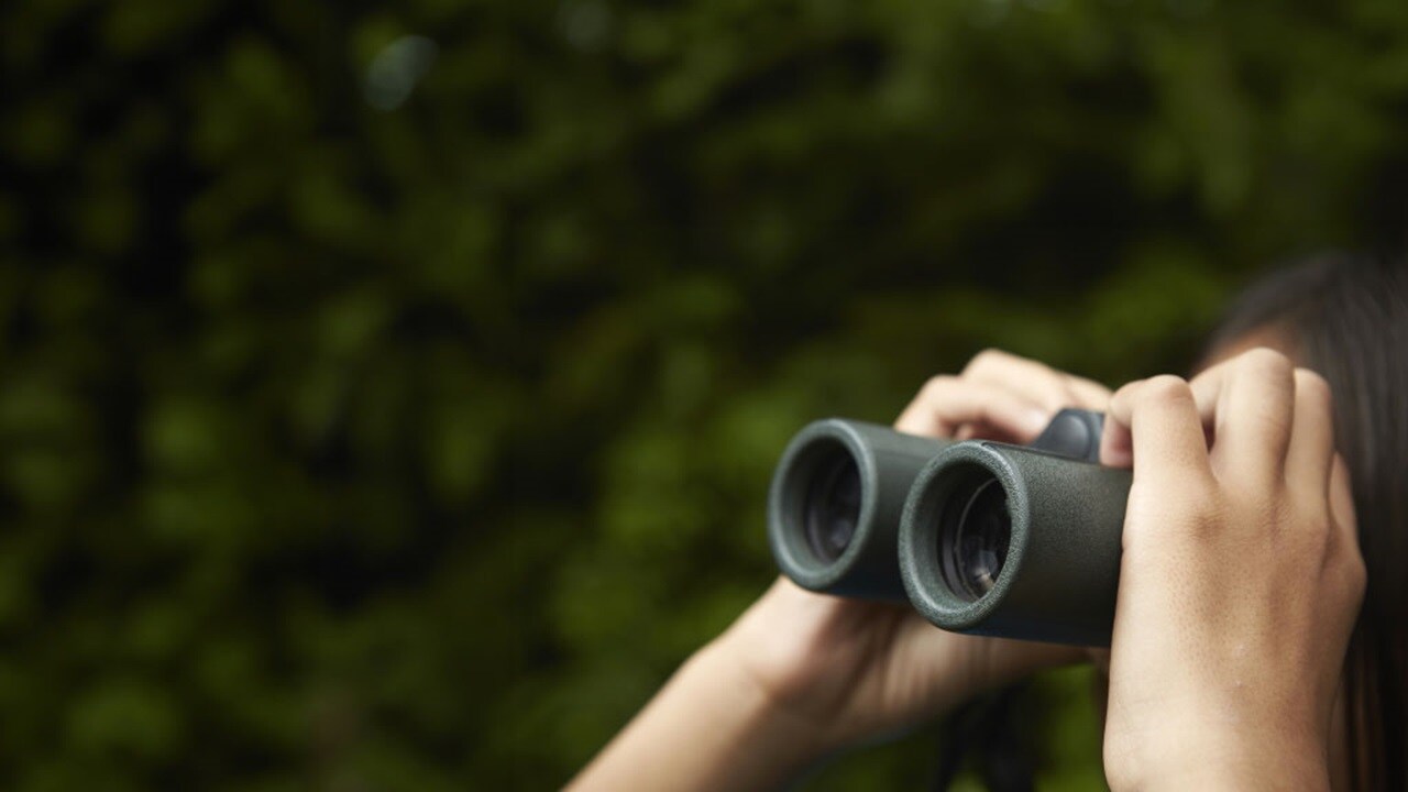 碳排放平台图像