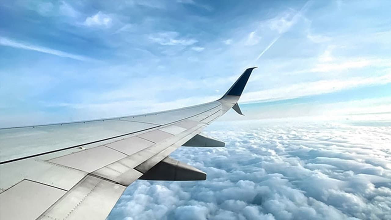 一架飞机的空中后视图,表示东升国际空运为 Accur8 Distribution 插上了新的翅膀。